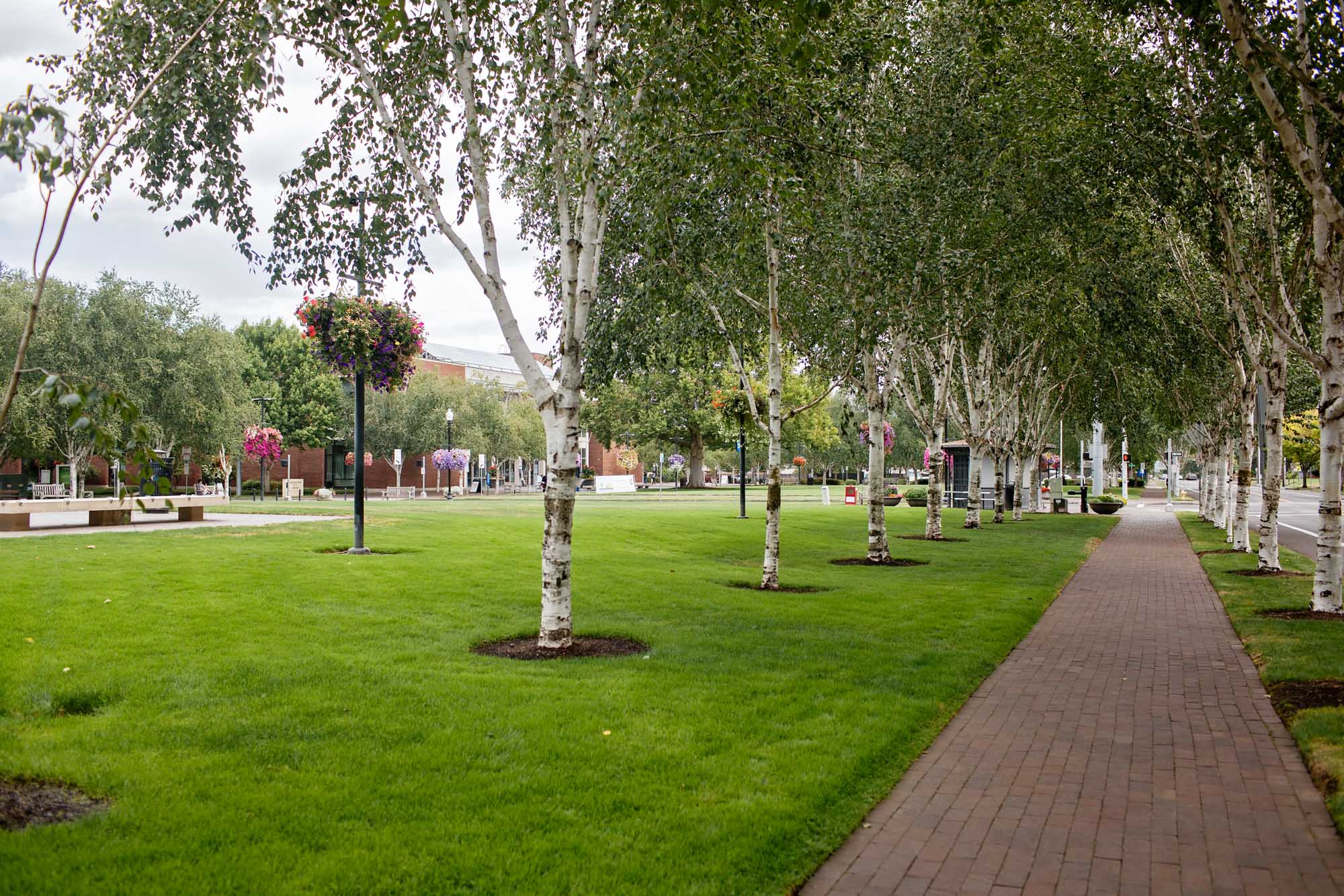 The green space near Verso apartments in Beaverton, Oregon.