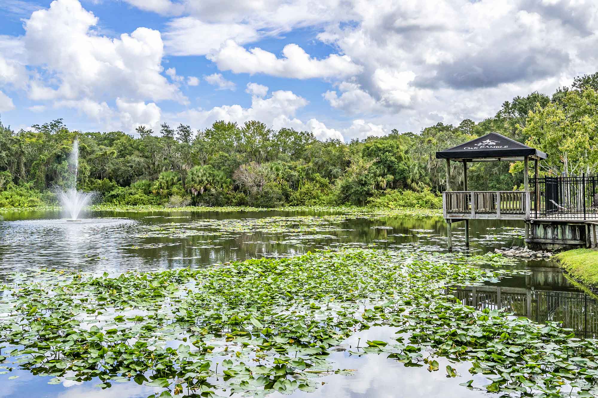 The pond at Oak Ramble apartments in Tampa, FL.