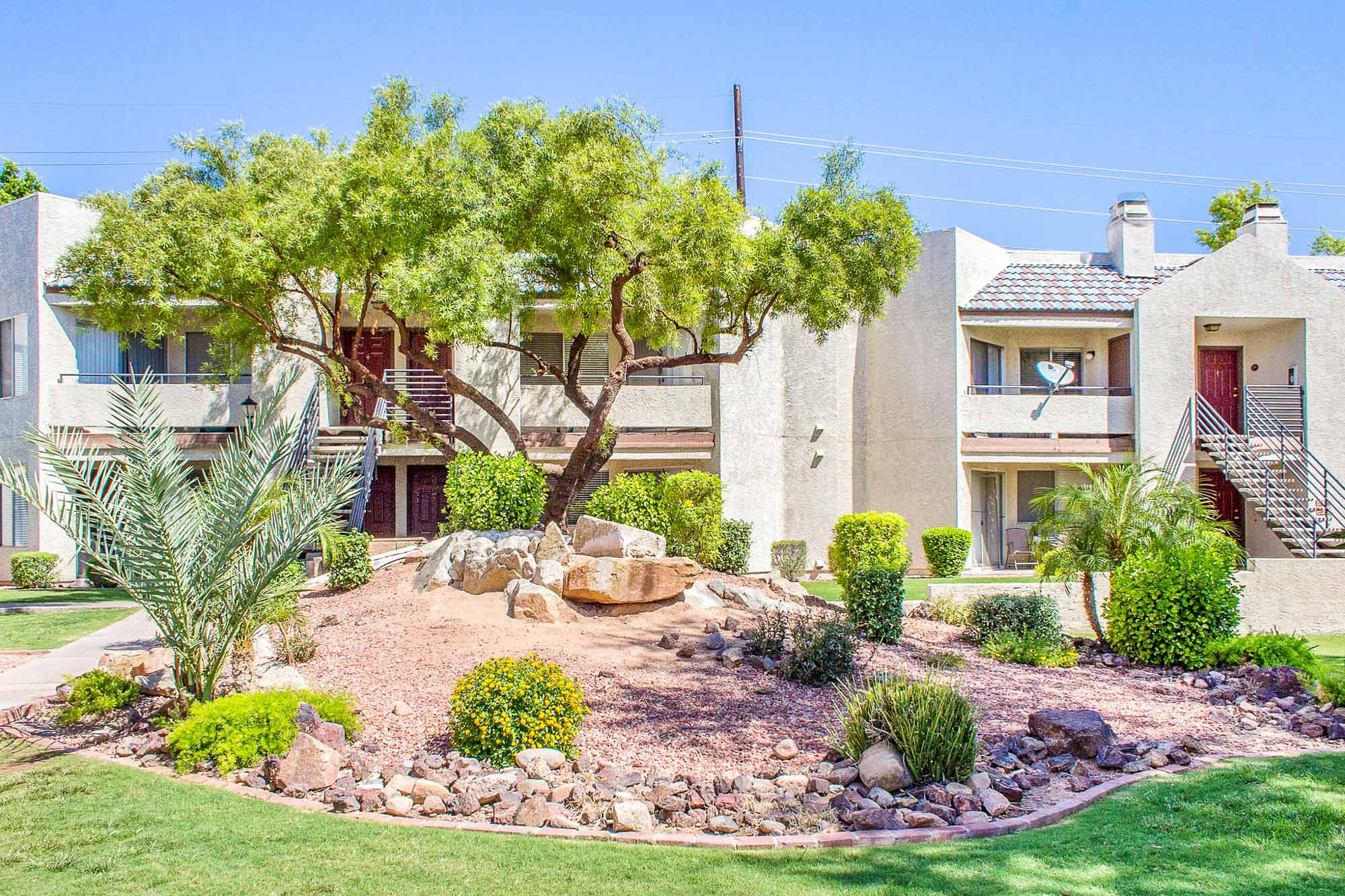 The landscaping at Meadow Glen in Phoenix, AZ.