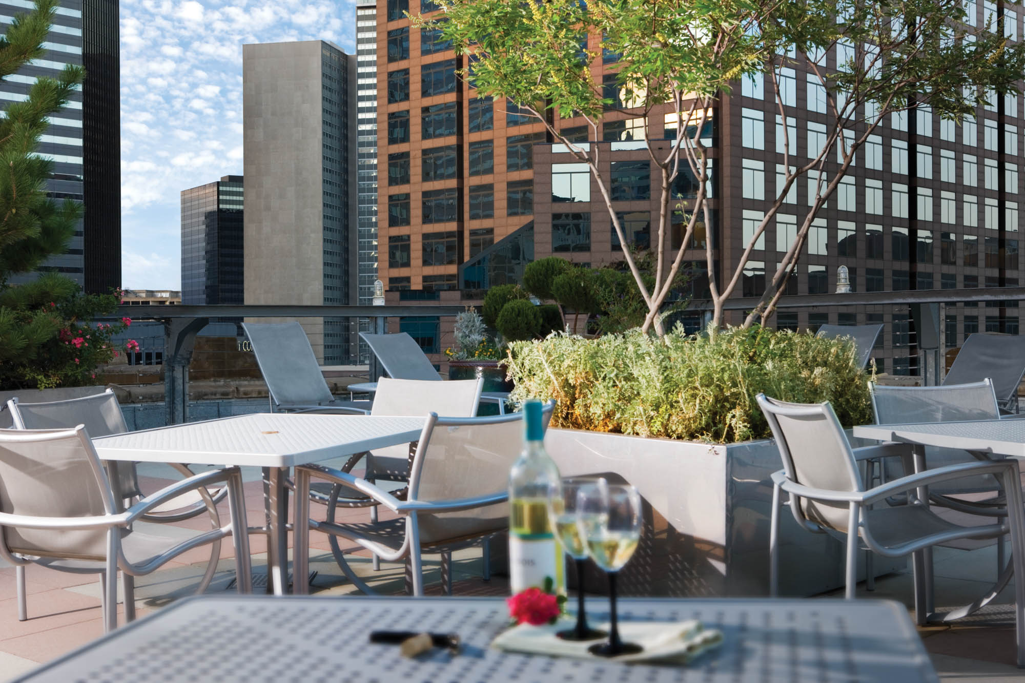 The Patio as The Wilson apartments in Dallas, TX