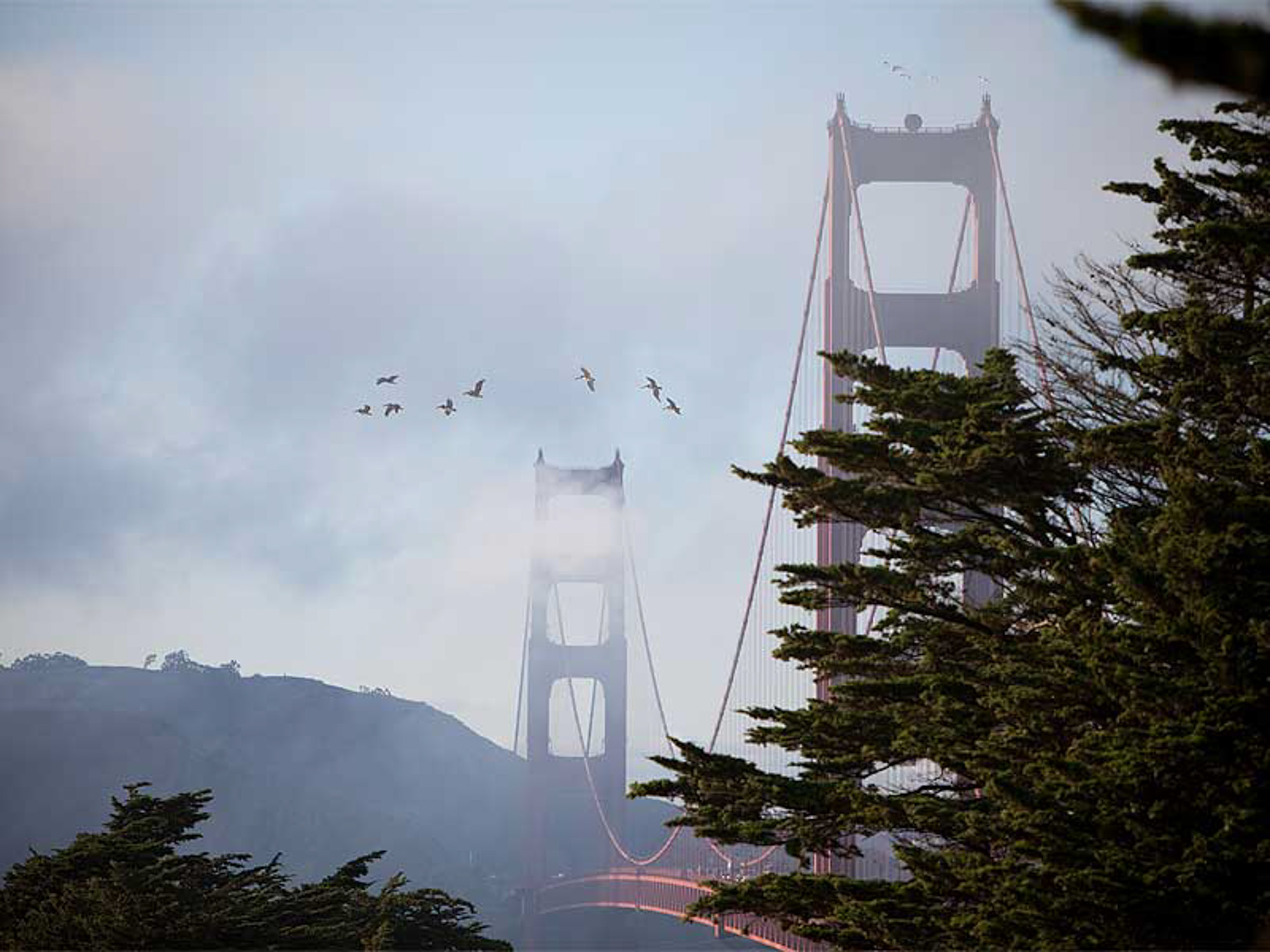 The Golden Gate Bridge by the Presidio Landmark apartments in San Francisco, CA.