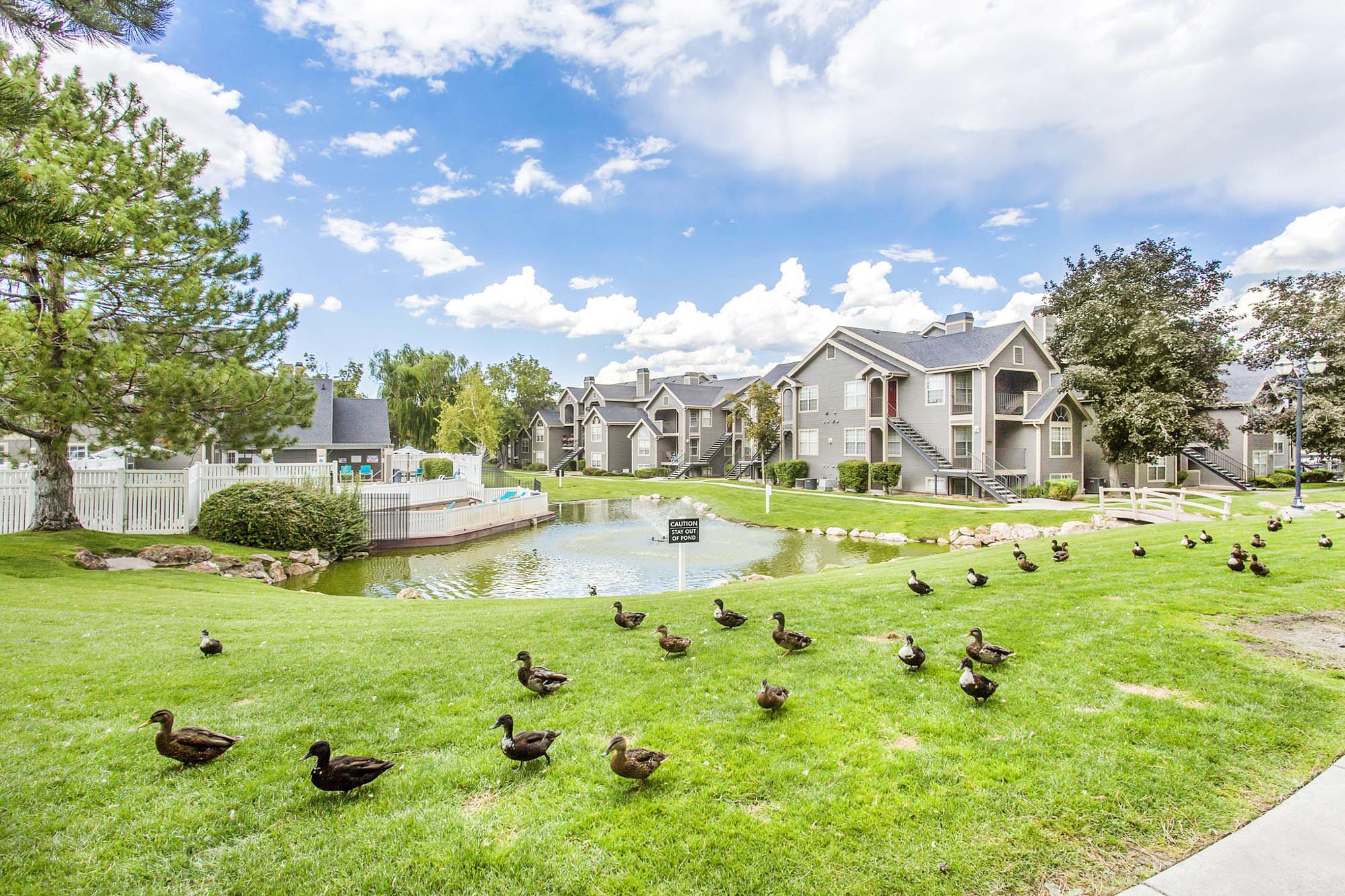 The lakes with ducks at Stillwater apartments in Murray, Utah.