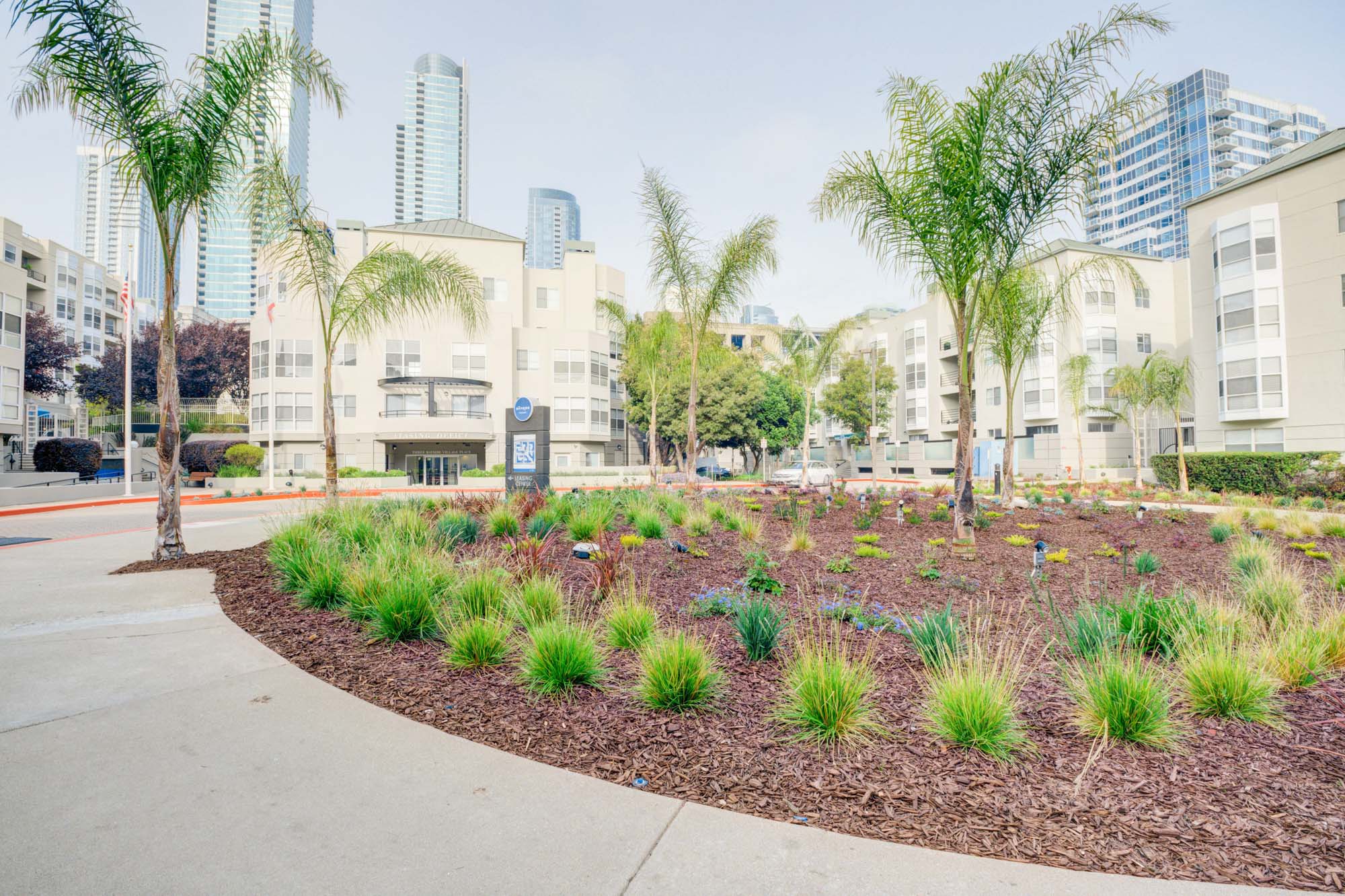 A pathway next to a garden plants and palm trees leading to the entrance to Bayside Village apartments in San Francisco
