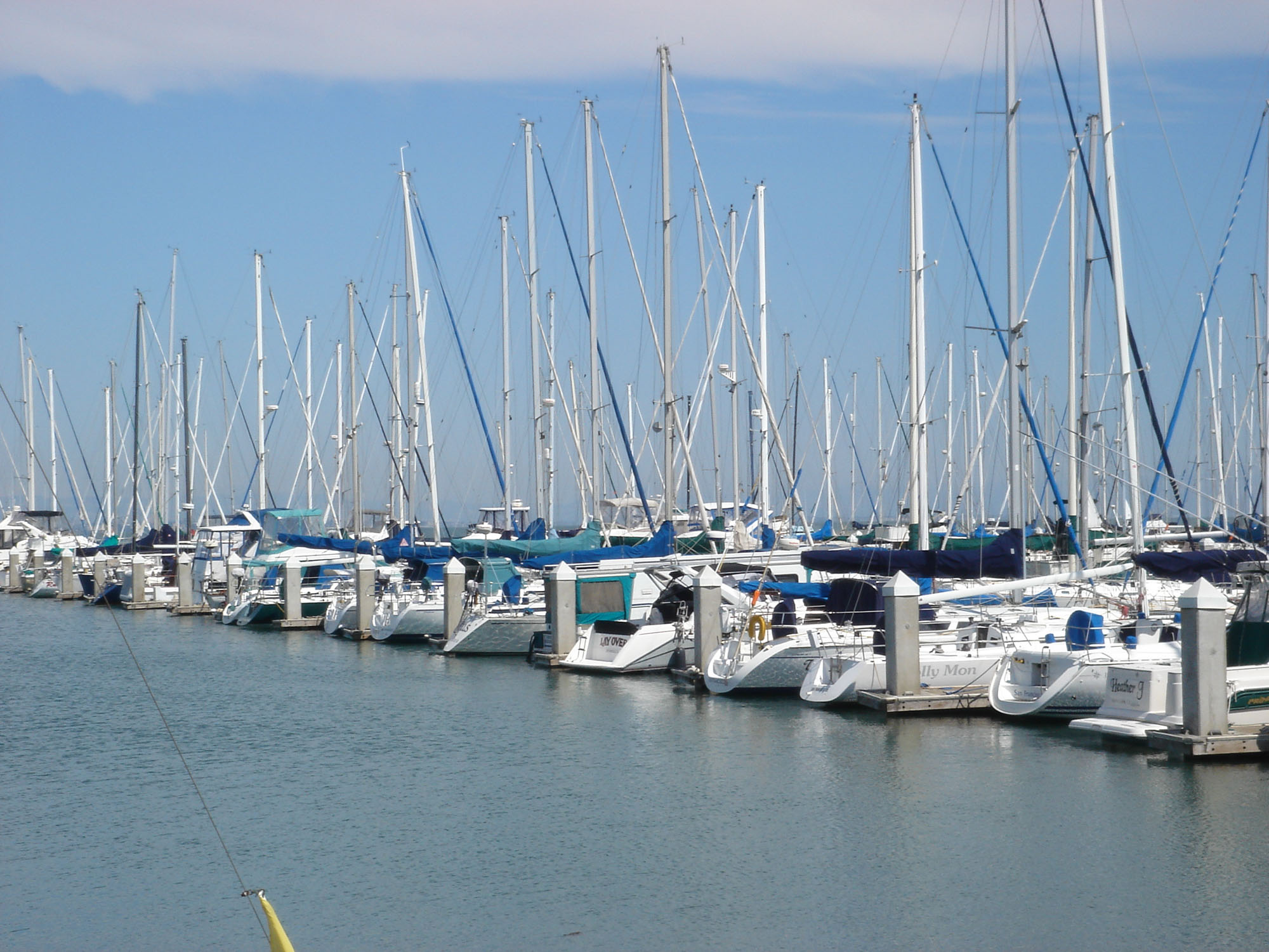 A row of sailboats docked at a Bay near Bayside Village in downtown San Francisco