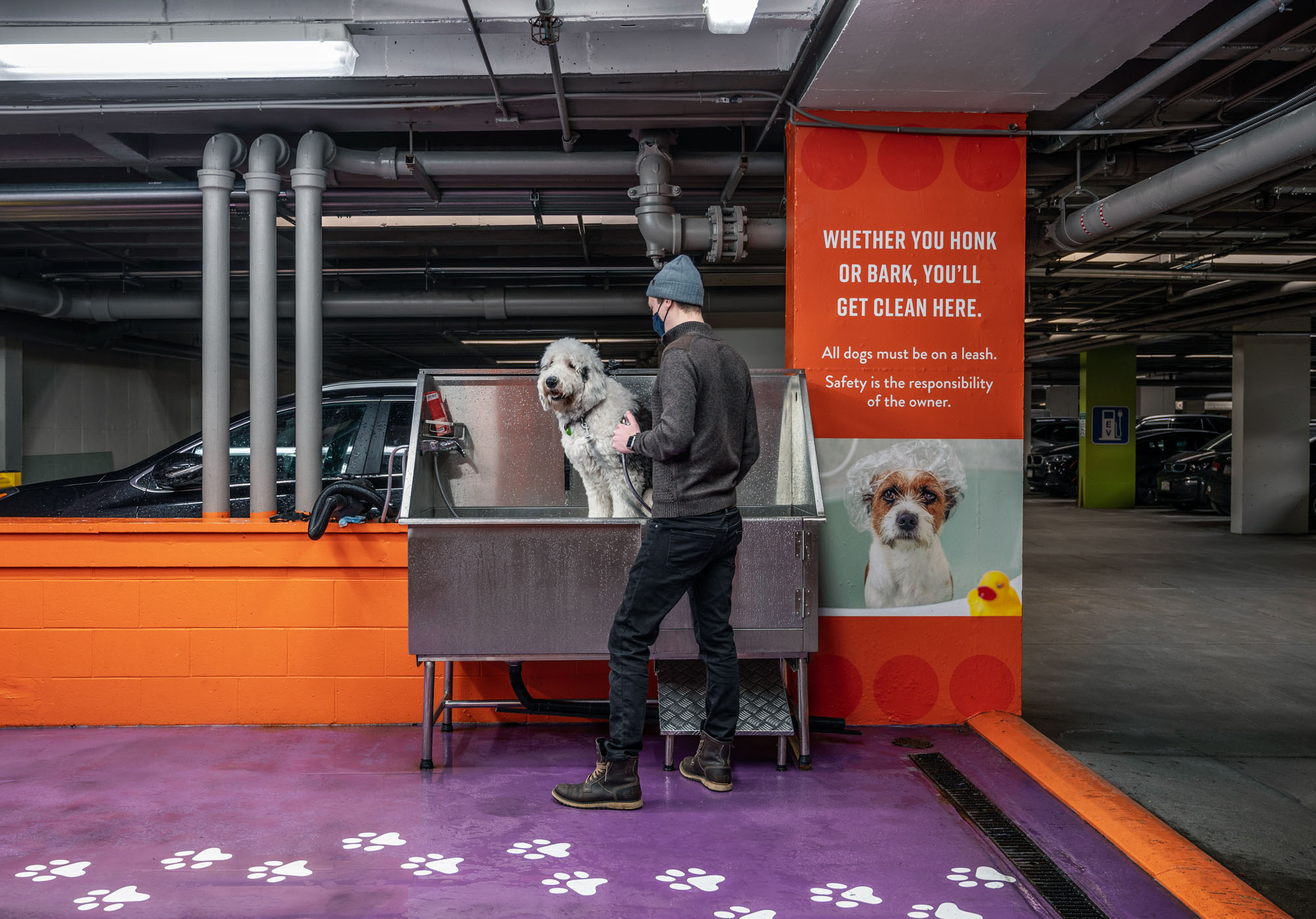 The pet and car spa at Church Park apartments in Boston, Massachusetts.