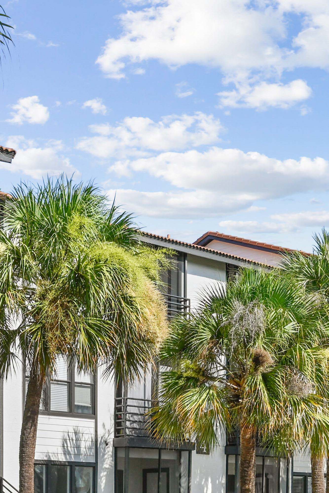 The exterior of the apartments at South Pointe in Tampa, Florida.