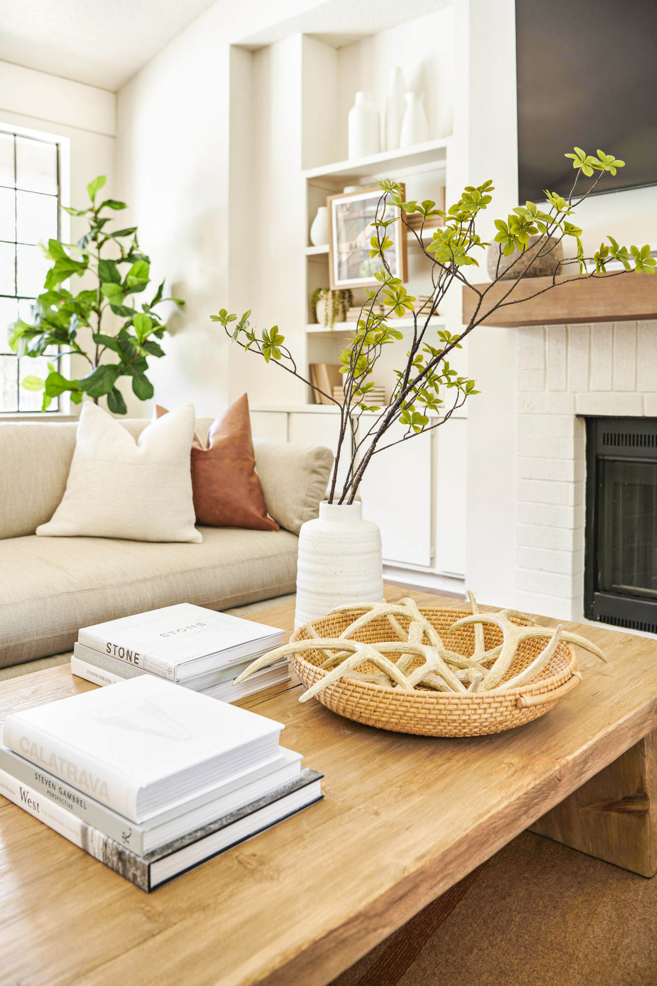 A coffee table with a book and plant at the clubhouse at The Arbors at Wells Branch in Austin, Texas.