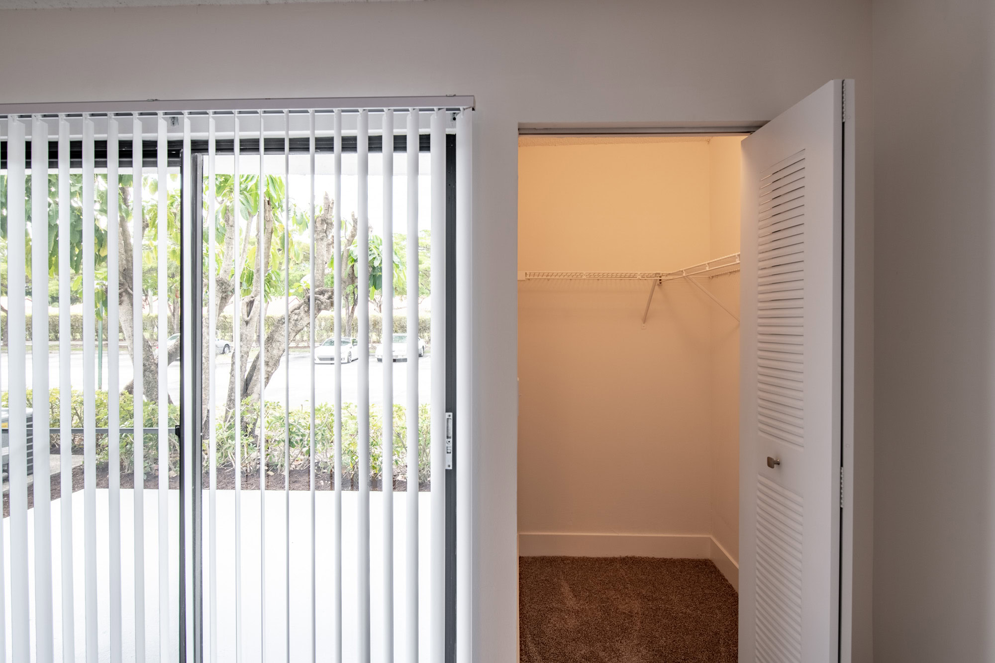 The interior of a closet at The Reserve at Ashley Lake apartments.