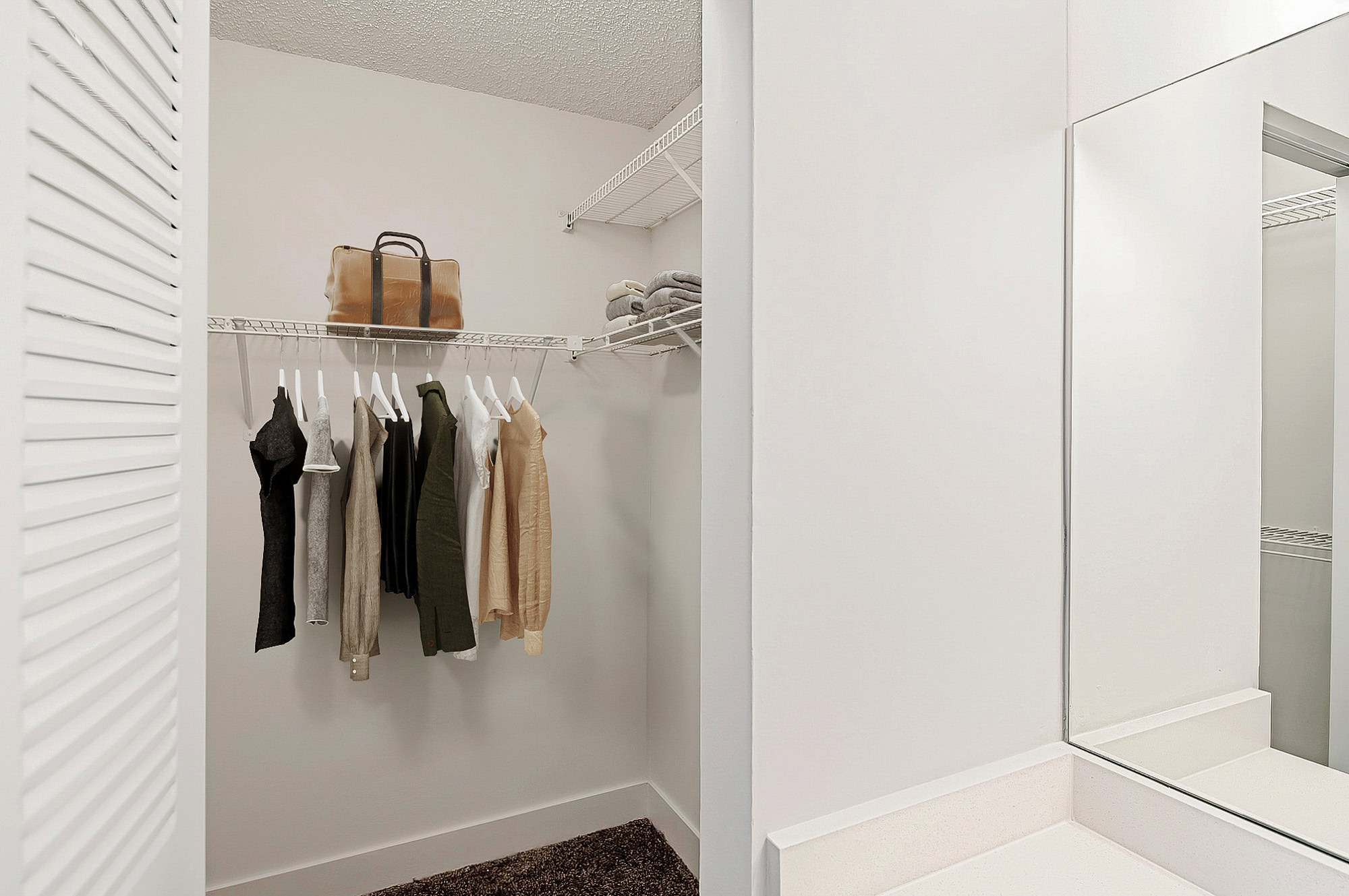 The interior of a closet at The Reserve at Ashley Lake apartments.