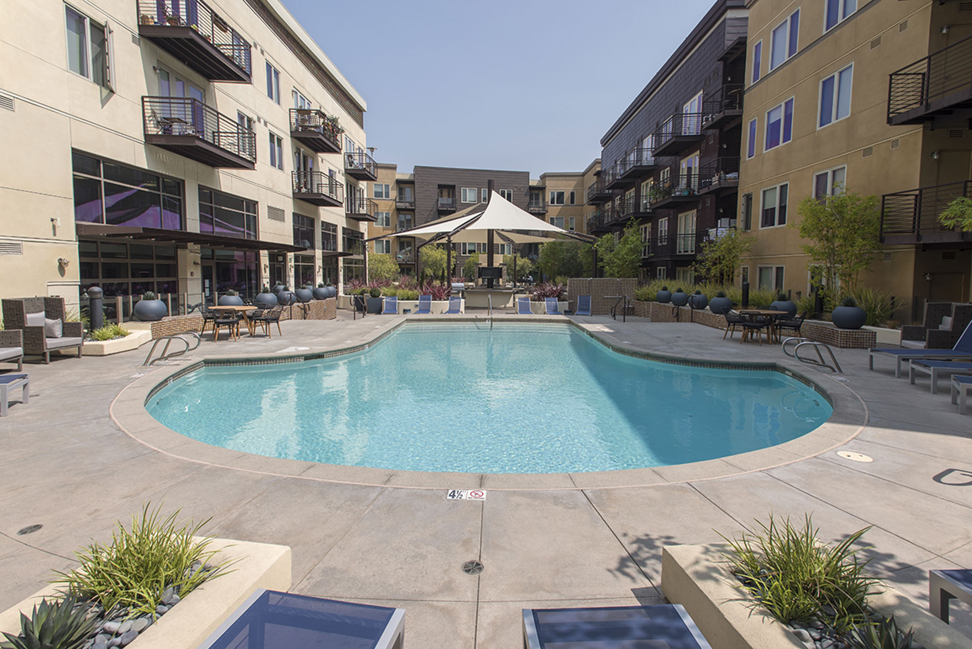 A pool surrounded by lounging chairs in central courtyard of The Village Residences luxury apartments in Mountain View, CA