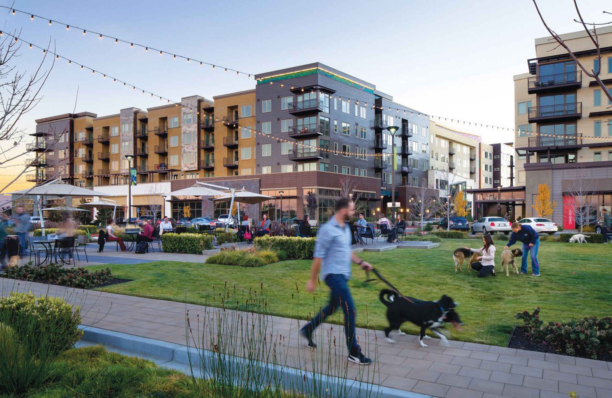 An outdoor courtyard with a dog friendly yard, and patio seating with umbrellas next the the Village of Residences in Mountain View, CA