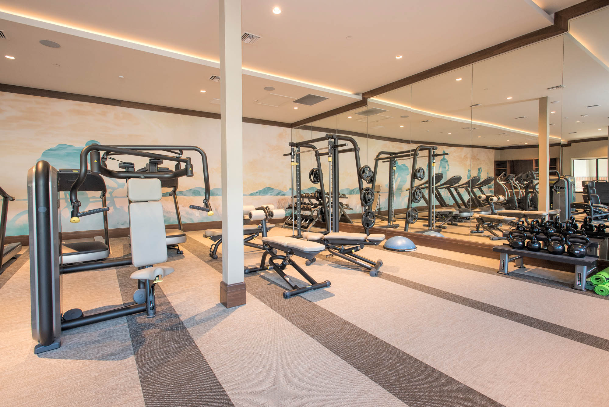 A fully equipped fitness center with benches, weight bars, cable machines and dumbbells at the Vintage apartments in Pleasanton, CA