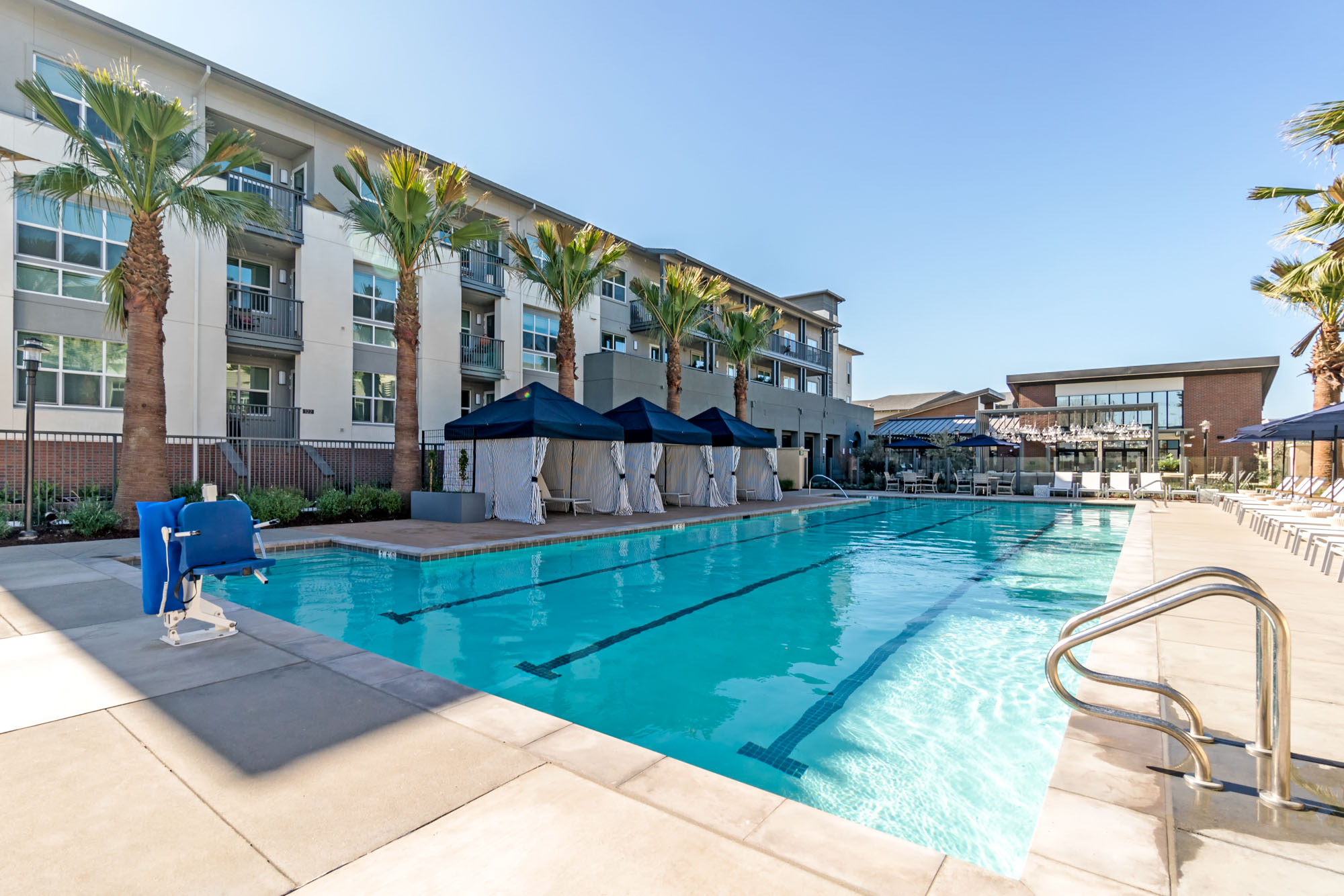 A pool with four lanes, and lounging chairs at the Vintage luxury apartments in Pleasanton, CA