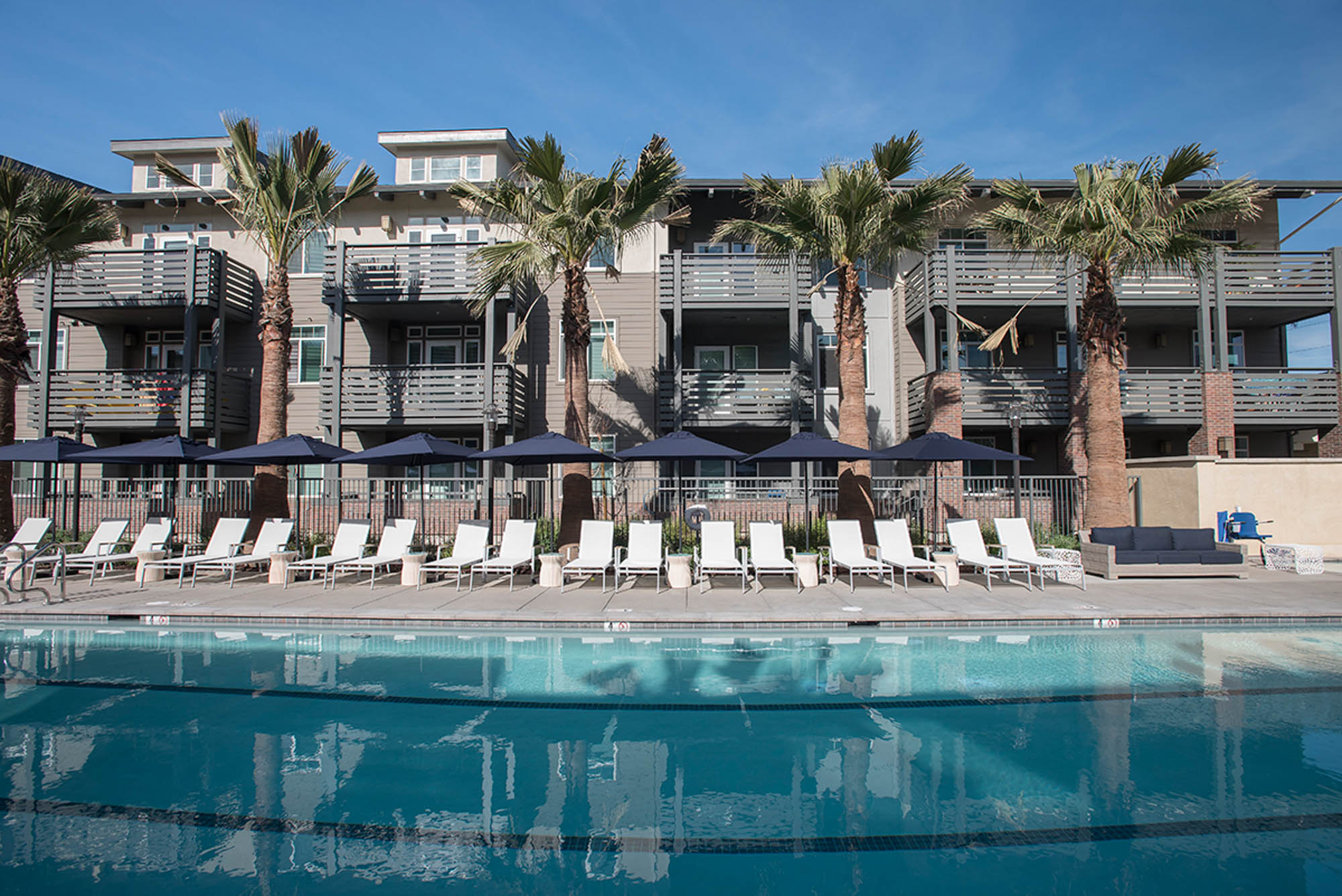 A pool with four lanes, and lounging chairs at the Vintage luxury apartments in Pleasanton, CA