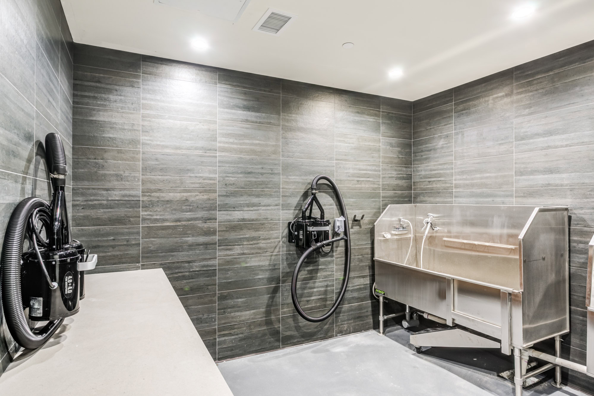 A spacious dog spa with multiple dryers mounted at the Webster Eleven apartments in downtown Oakland