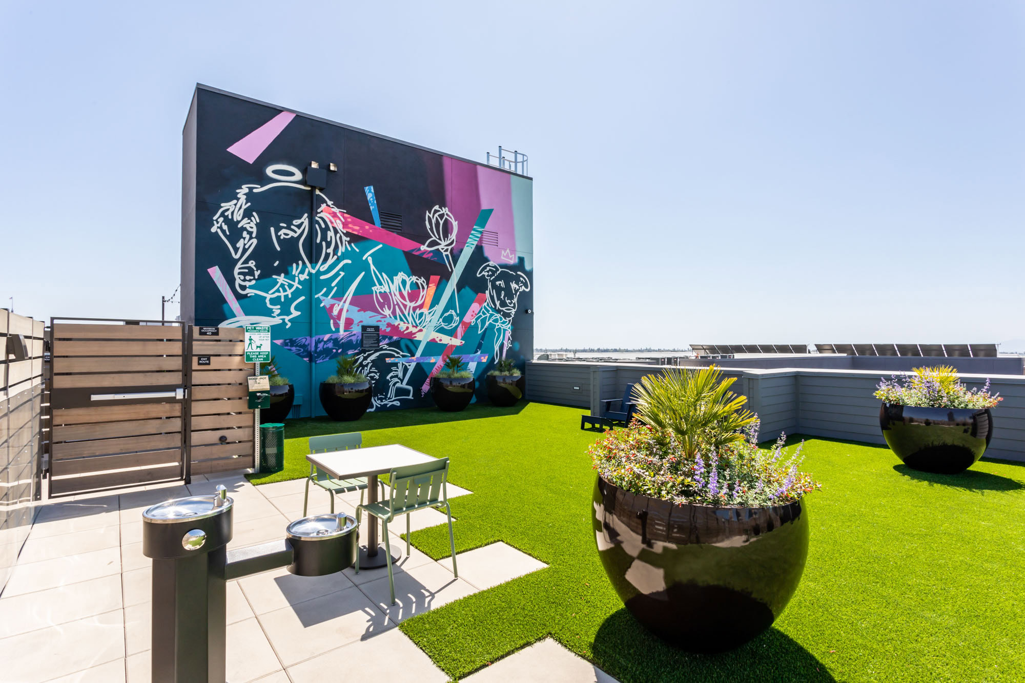 A rooftop lounging area with a faux grass dog park, a water fountain and graffiti wall with dogs on it at Webster Eleven apartments in downtown Oakland