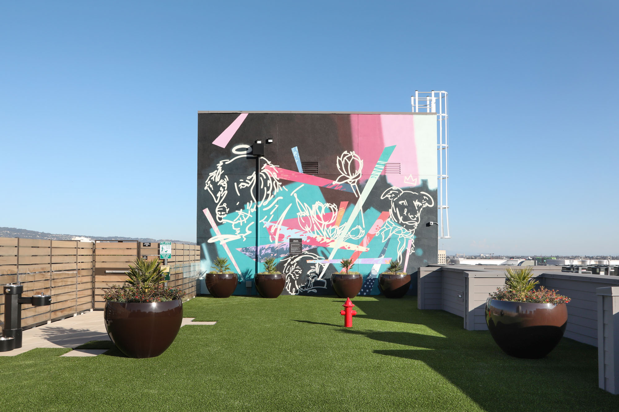 A rooftop dog park with faux grass and views of the city skyline at the Webster Eleven apartments in downtown Oakland