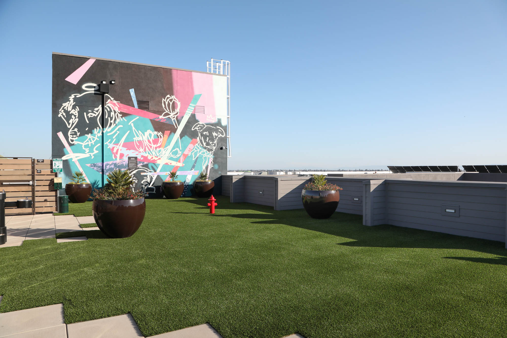 A rooftop dog park with faux grass and views of the city skyline at the Webster Eleven apartments in downtown Oakland