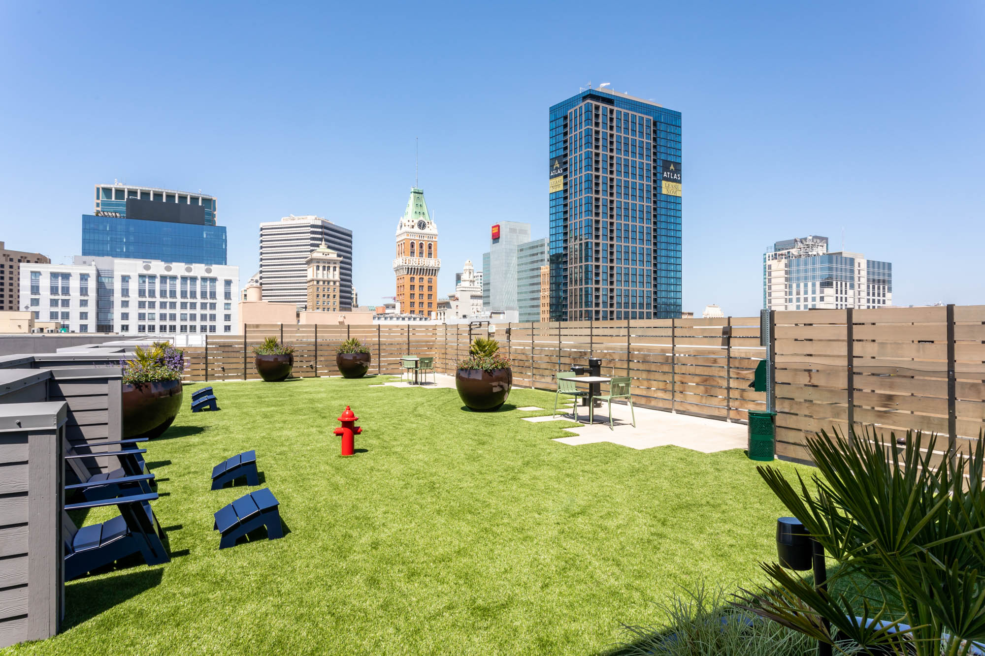 A rooftop dog park with faux grass and views of the city skyline at the Webster Eleven apartments in downtown Oakland