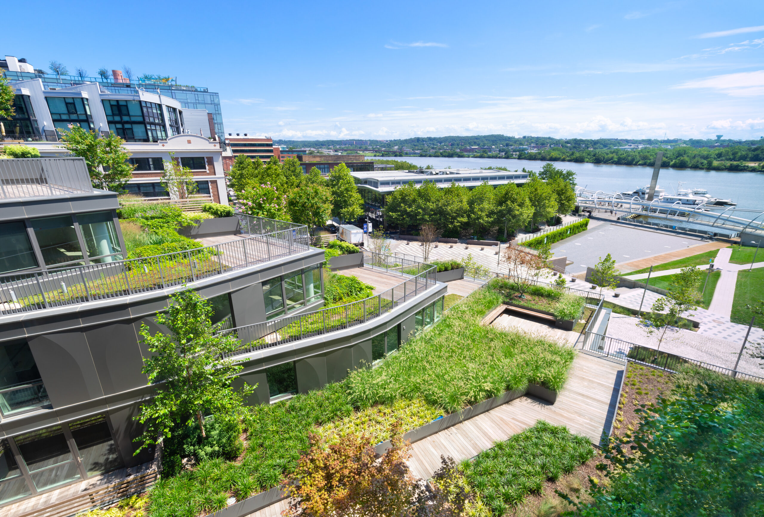 Rooftop garden with lush greenery and views of the river.