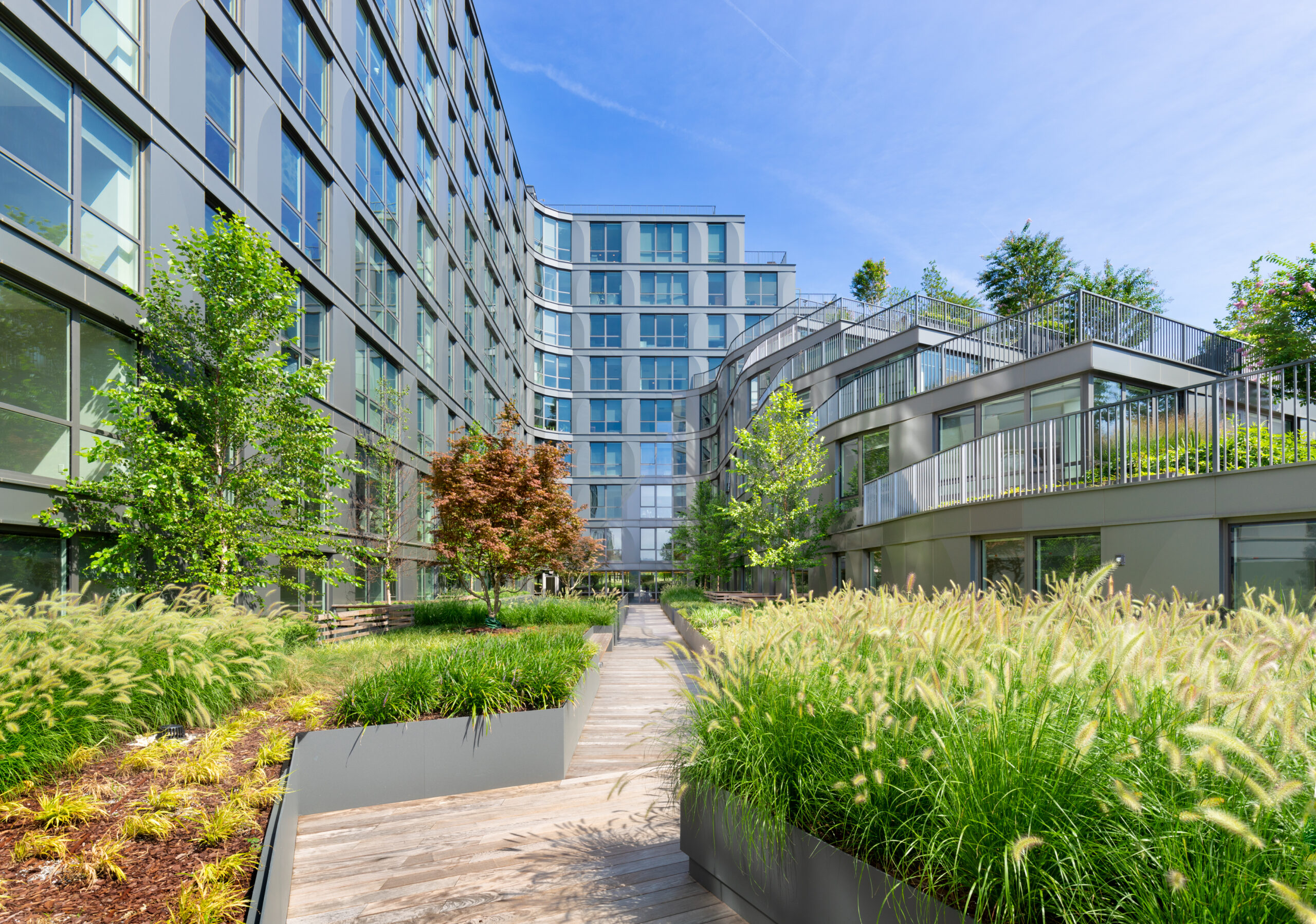 Courtyard with modern architecture, greenery, and wooden paths.