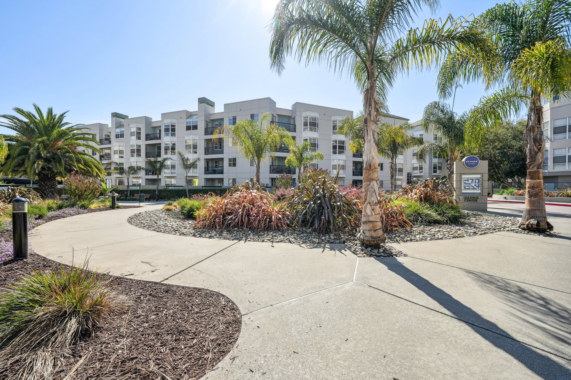 A walk path with a roundabout with succulents and greenery in the middle at Bayside Village in San Francisco