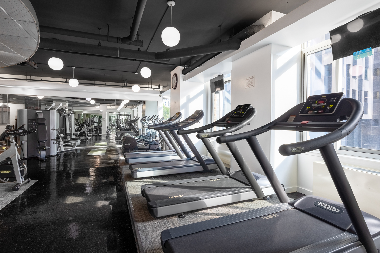 Sun-filled, fully equipped Fitness Center with treadmills positioned along the walls of windows.