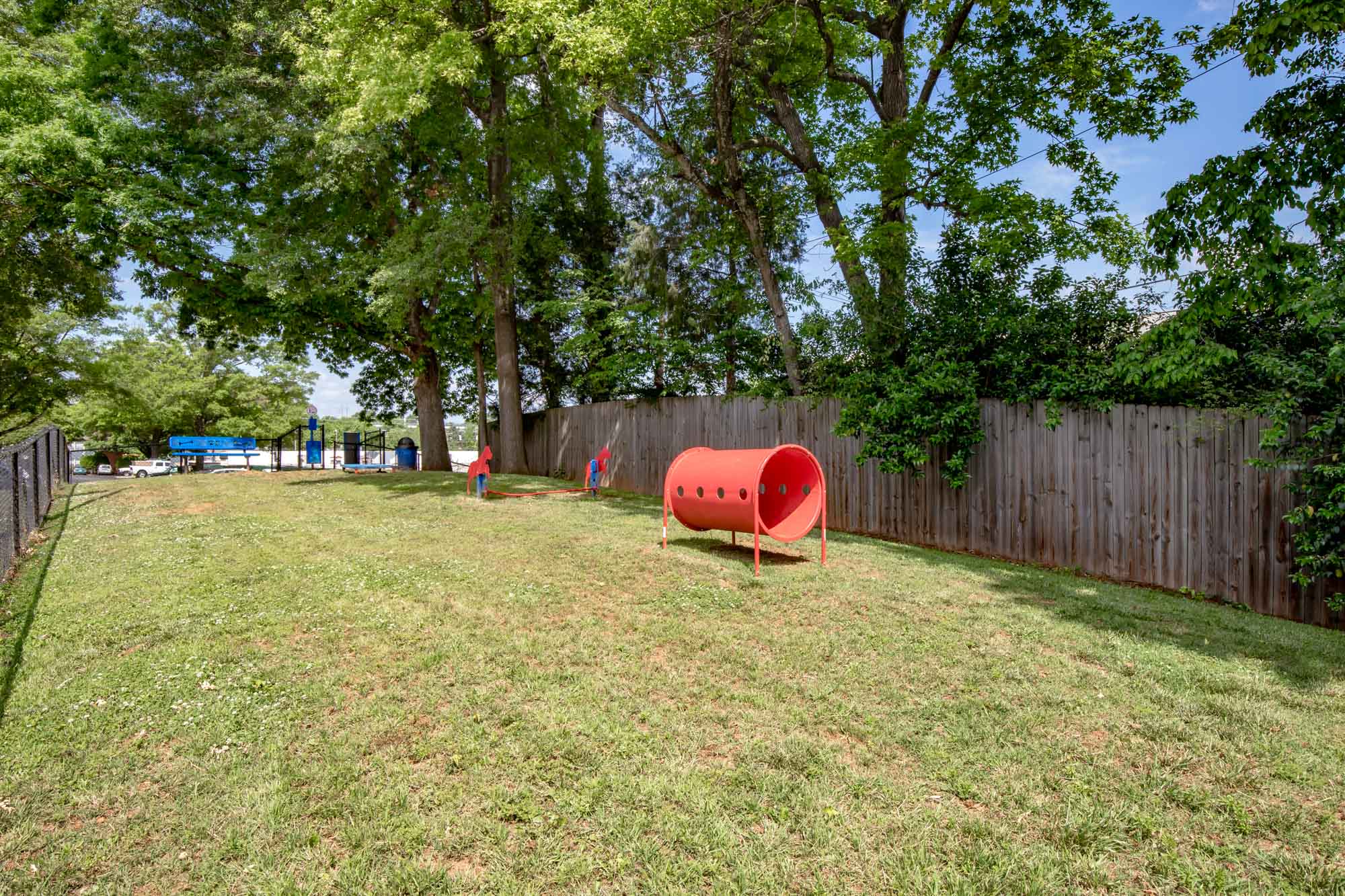 The dog park at Beacon Hill apartments at the south end of Charlotte, NC.