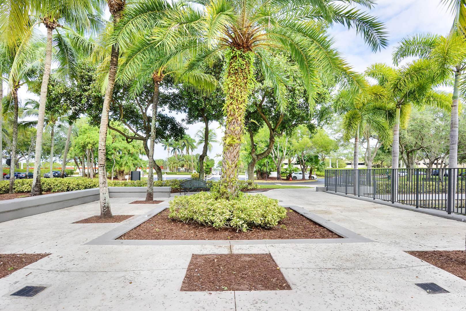A walking path in a courtyard at Sabal Pointe apartments in South Florida