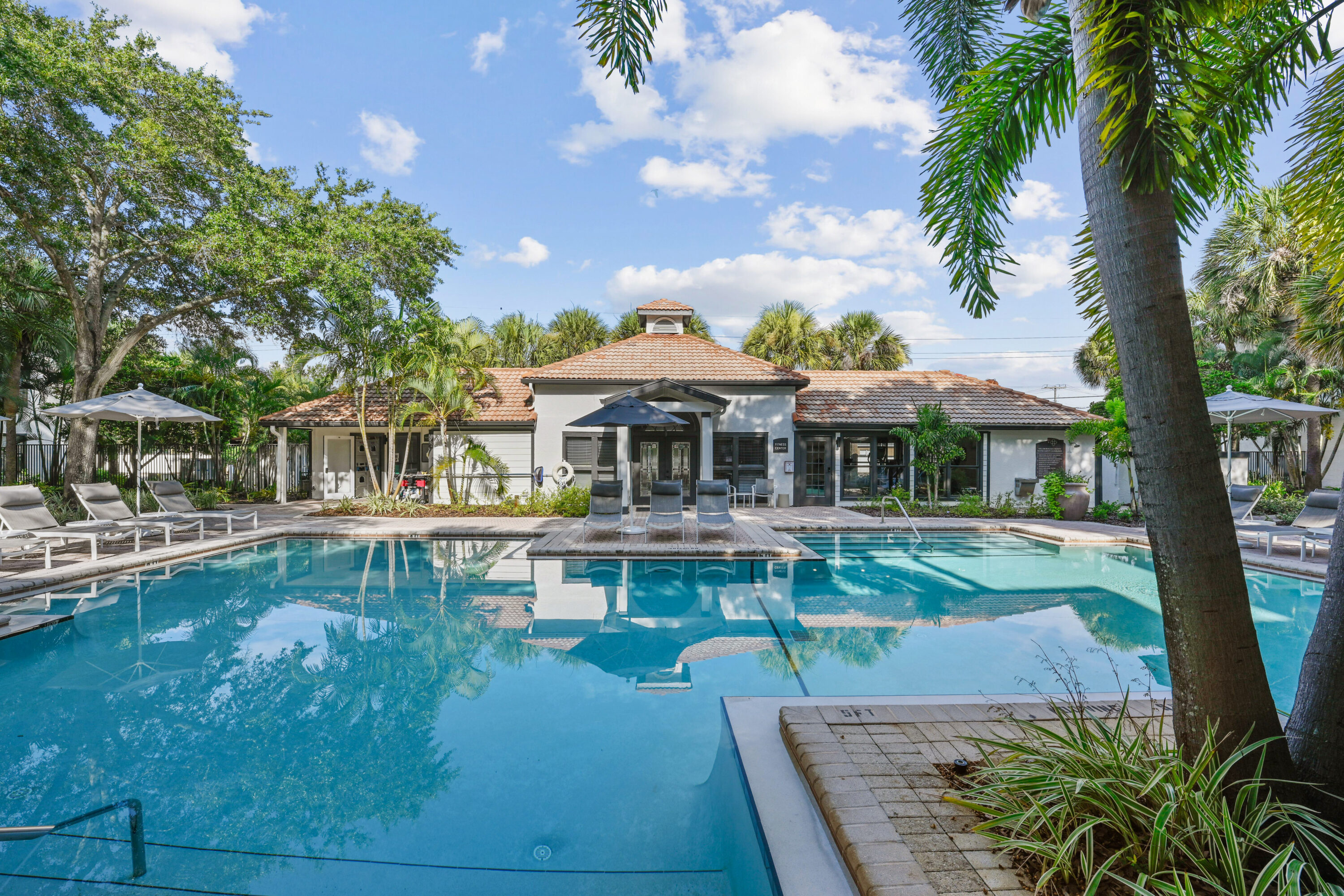 Resort-style swimming pool with sun deck and palm trees at South Pointe apartments in South Tampa.
